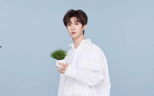 爆料博主范丞丞视频下载,揭秘爆料博主独家内容 第3张 爆料博主范丞丞视频下载,揭秘爆料博主独家内容 第3张