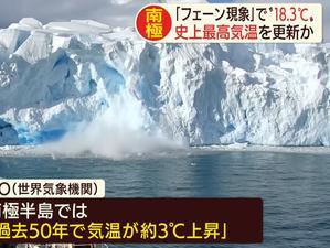 南极最新爆料新闻视频网,神秘生物现踪，极地探险新发现！