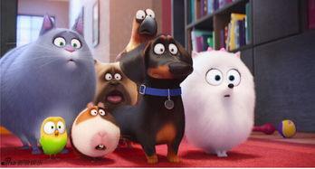 萌宠大机密在线观看,揭秘宠物界的欢乐冒险之旅 第2张 萌宠大机密在线观看,揭秘宠物界的欢乐冒险之旅 第2张